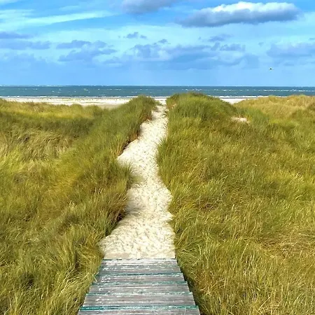 Gundt Amrum Небель