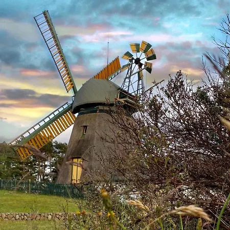 Gundt Amrum * Небель