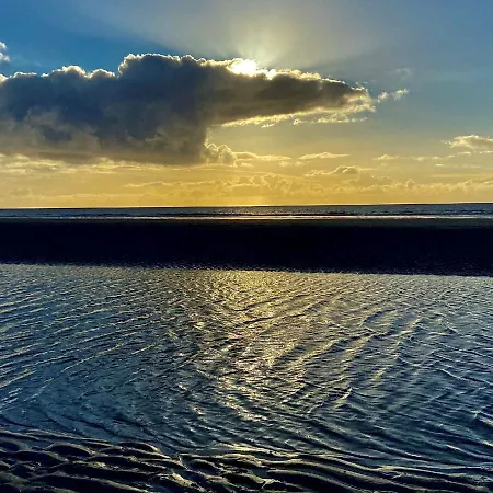 Gundt Amrum * Небель