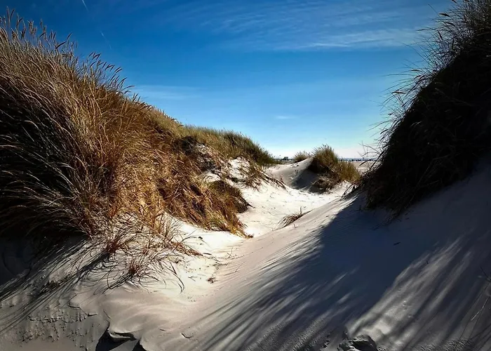 Gundt Amrum Lejlighed Nebel